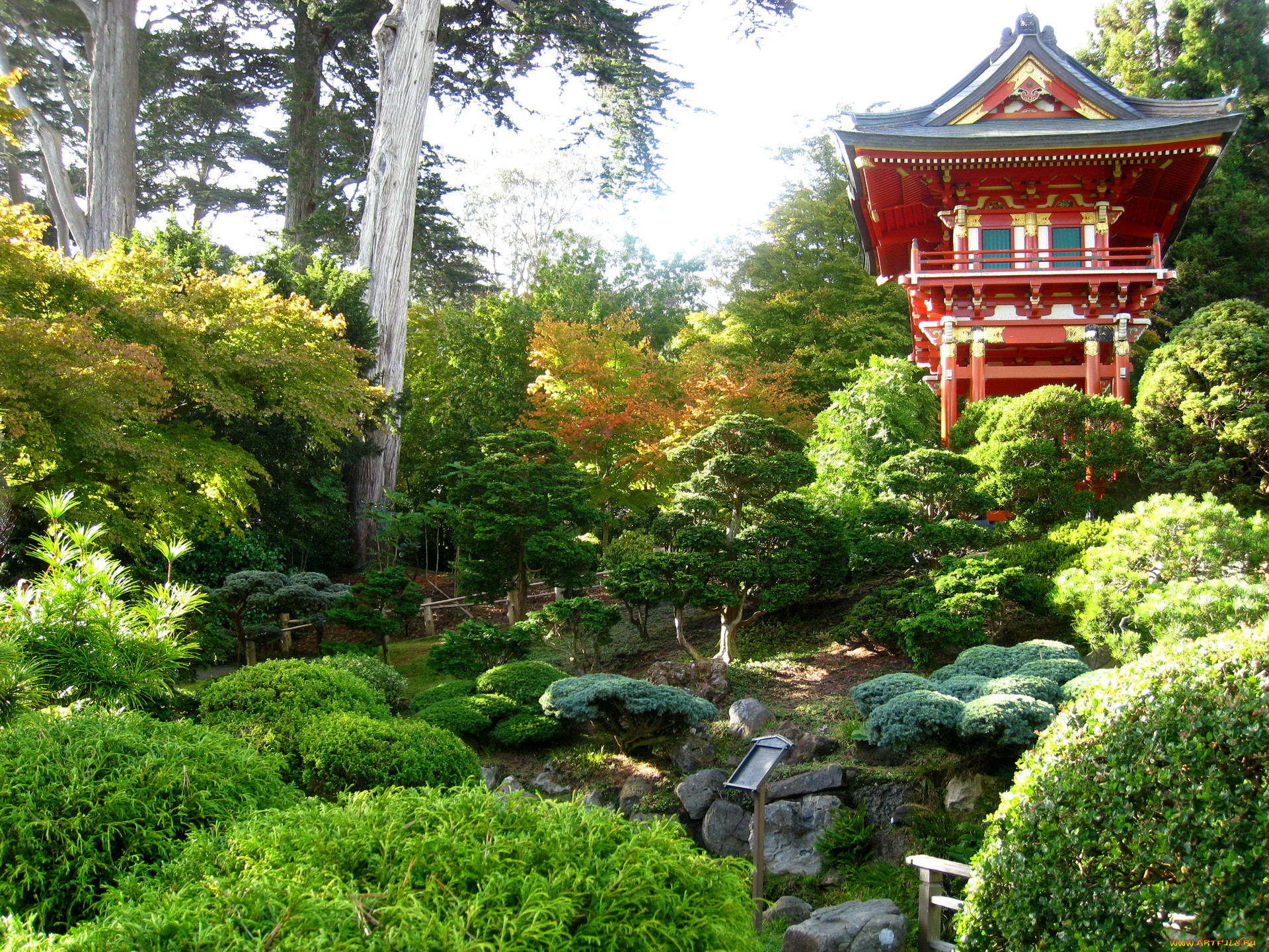 japanese, garden, , 